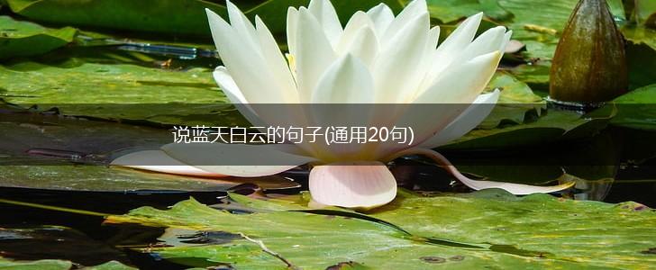 说蓝天白云的句子(通用20句),第1张