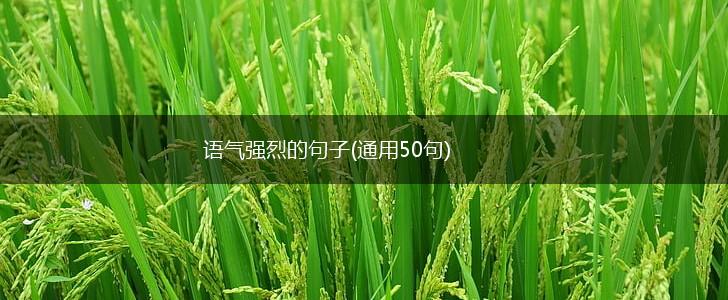语气强烈的句子(通用50句),第1张