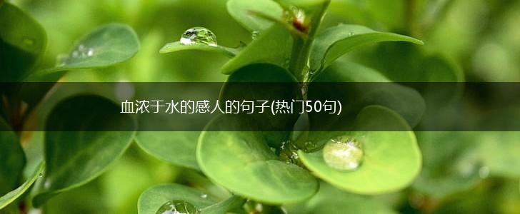 血浓于水的感人的句子(热门50句),第1张