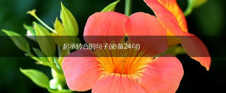 起承转合的句子(必备24句),第1张