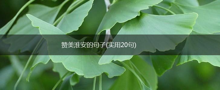 赞美淮安的句子(实用20句),第1张