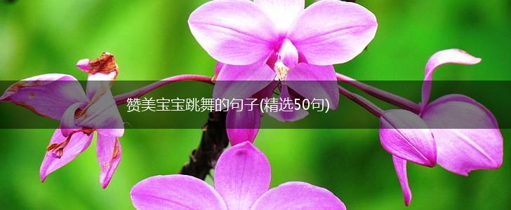 赞美宝宝跳舞的句子(精选50句),第1张