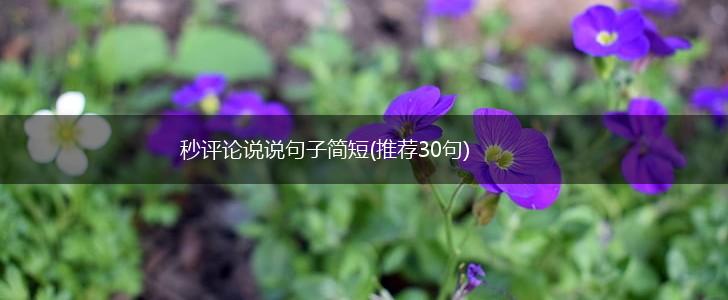 秒评论说说句子简短(推荐30句),第1张