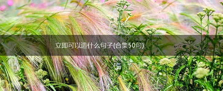 立即可以造什么句子(合集50句),第1张
