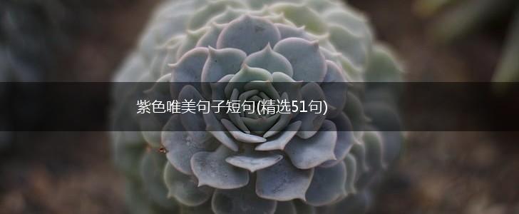 紫色唯美句子短句(精选51句),第1张