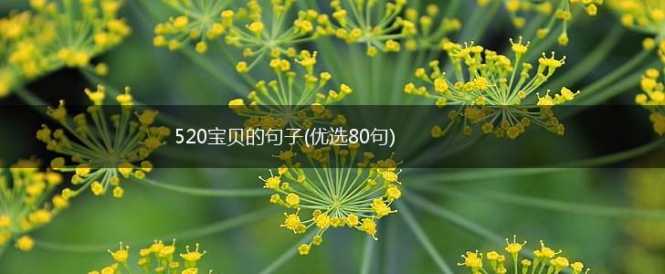 520宝贝的句子(优选80句),第1张