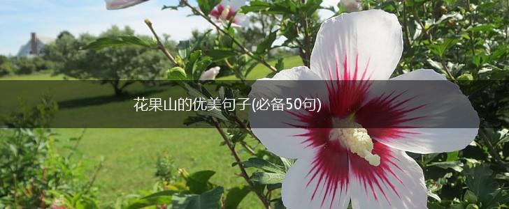 花果山的优美句子(必备50句),第1张