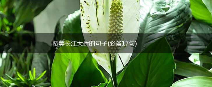 赞美长江大桥的句子(必备17句),第1张 赞美长江大桥的句子(必备17句),第1张