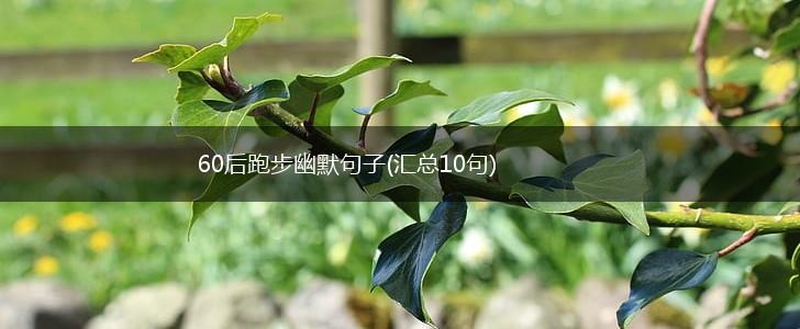 60后跑步幽默句子(汇总10句),第1张