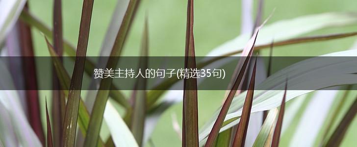 赞美主持人的句子(精选35句),第1张