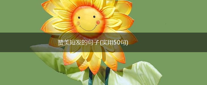 赞美短发的句子(实用50句),第1张