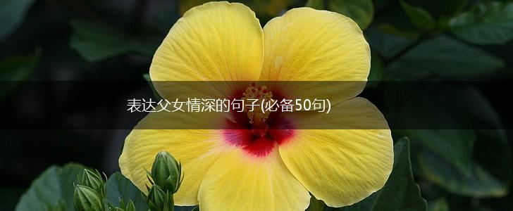 表达父女情深的句子(必备50句),第1张