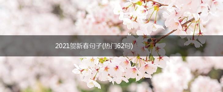 2021贺新春句子(热门62句),第1张