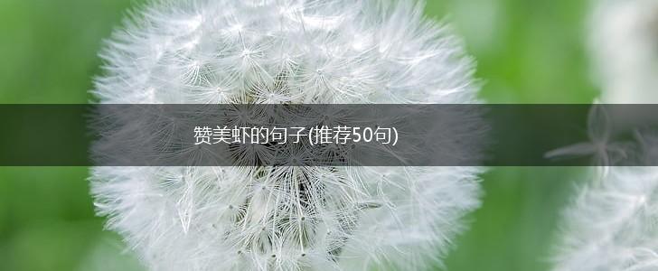 赞美虾的句子(推荐50句),第1张