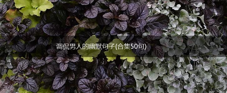 调侃男人的幽默句子(合集50句),第1张