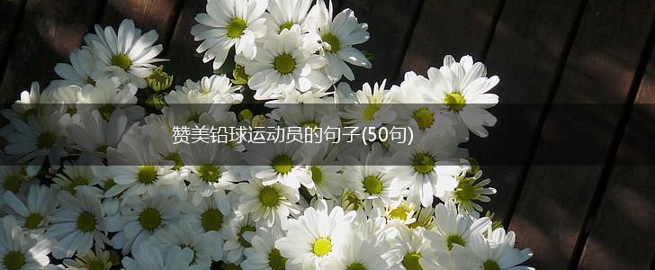 赞美铅球运动员的句子(50句),第1张