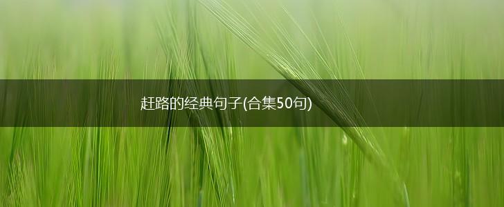 赶路的经典句子(合集50句),第1张