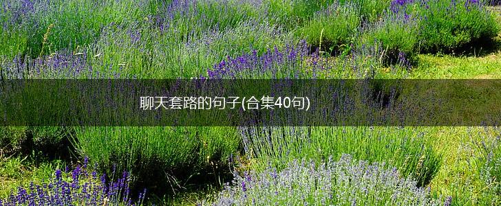 聊天套路的句子(合集40句),第1张