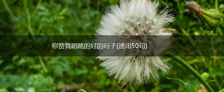 称赞舞蹈跳的好的句子(通用50句),第1张