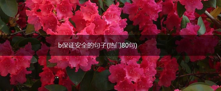 b保证安全的句子(热门80句),第1张