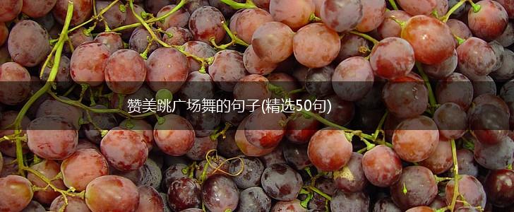 赞美跳广场舞的句子(精选50句),第1张