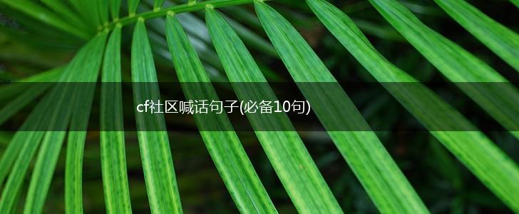cf社区喊话句子(必备10句),第1张