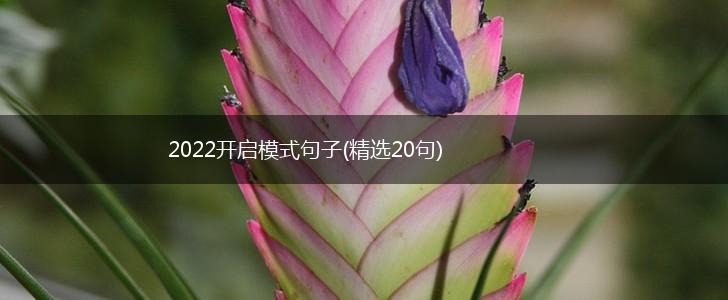 2022开启模式句子(精选20句),第1张