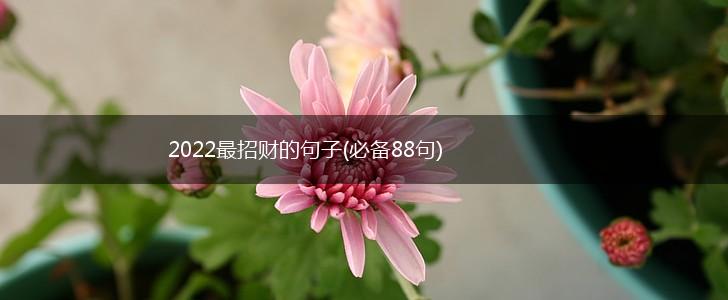 2022最招财的句子(必备88句),第1张