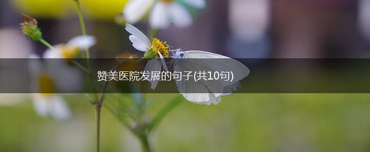 赞美医院发展的句子(共10句),第1张