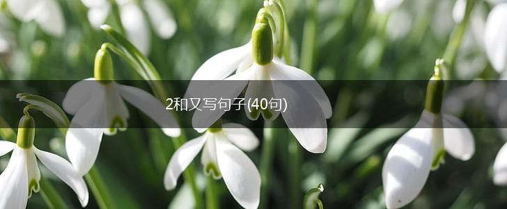 2和又写句子(40句),第1张