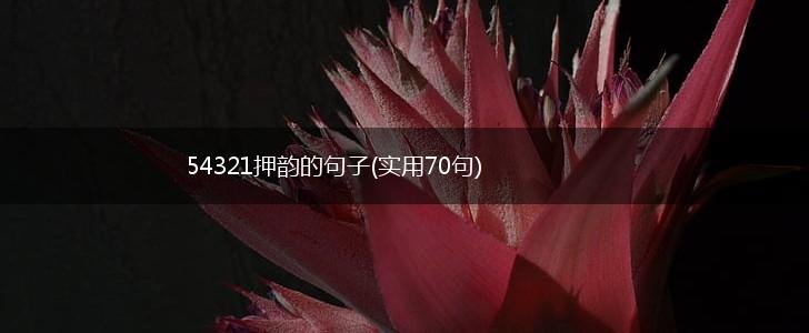 54321押韵的句子(实用70句),第1张