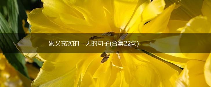 累又充实的一天的句子(合集22句),第1张