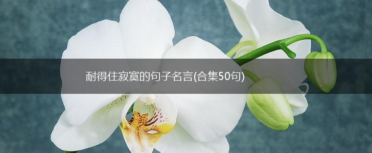 耐得住寂寞的句子名言(合集50句),第1张