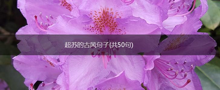 超苏的古风句子(共50句),第1张