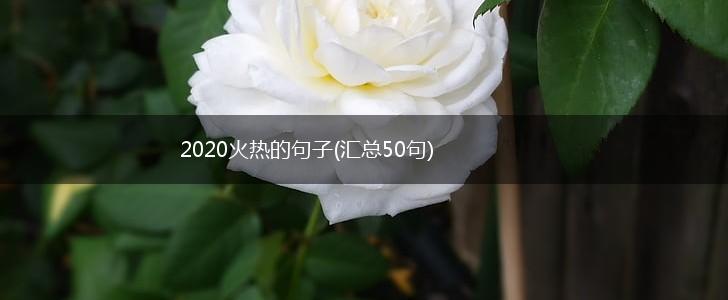 2020火热的句子(汇总50句),第1张
