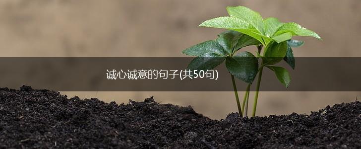 诚心诚意的句子(共50句),第1张 诚心诚意的句子(共50句),第1张