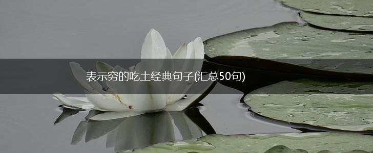 表示穷的吃土经典句子(汇总50句),第1张