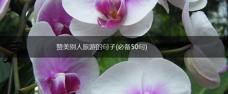 赞美别人旅游的句子(必备50句),第1张