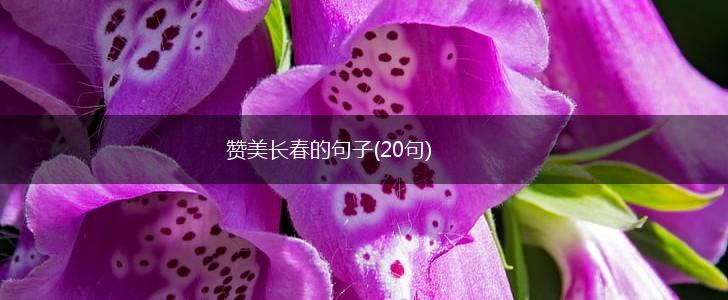 赞美长春的句子(20句),第1张