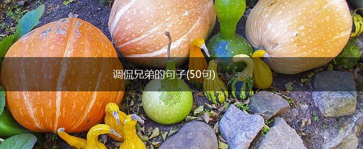 调侃兄弟的句子(50句),第1张