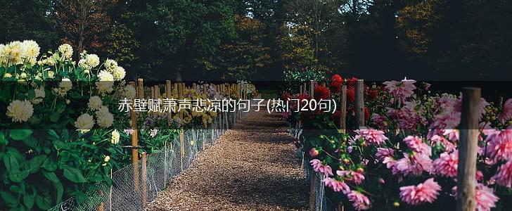 赤壁赋萧声悲凉的句子(热门20句),第1张