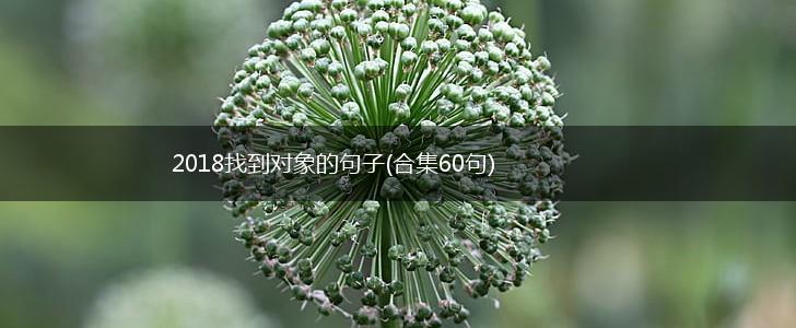 2018找到对象的句子(合集60句),第1张 2018找到对象的句子(合集60句),第1张