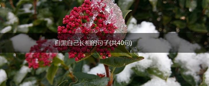 自黑自己长相的句子(共40句),第1张