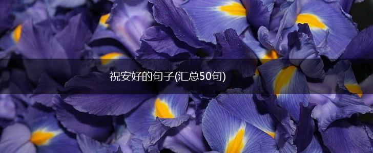 祝安好的句子(汇总50句),第1张
