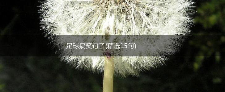 足球搞笑句子(精选15句),第1张
