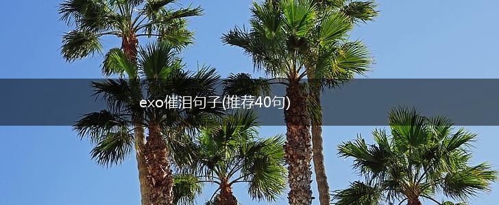 exo催泪句子(推荐40句),第1张