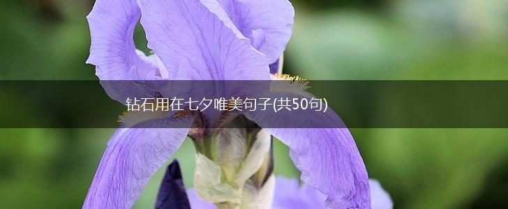 钻石用在七夕唯美句子(共50句),第1张