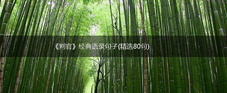 《判官》经典语录句子(精选80句),第1张