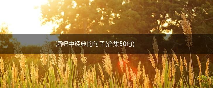 酒吧中经典的句子(合集50句),第1张