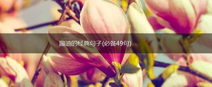 蹦迪的经典句子(必备49句),第1张